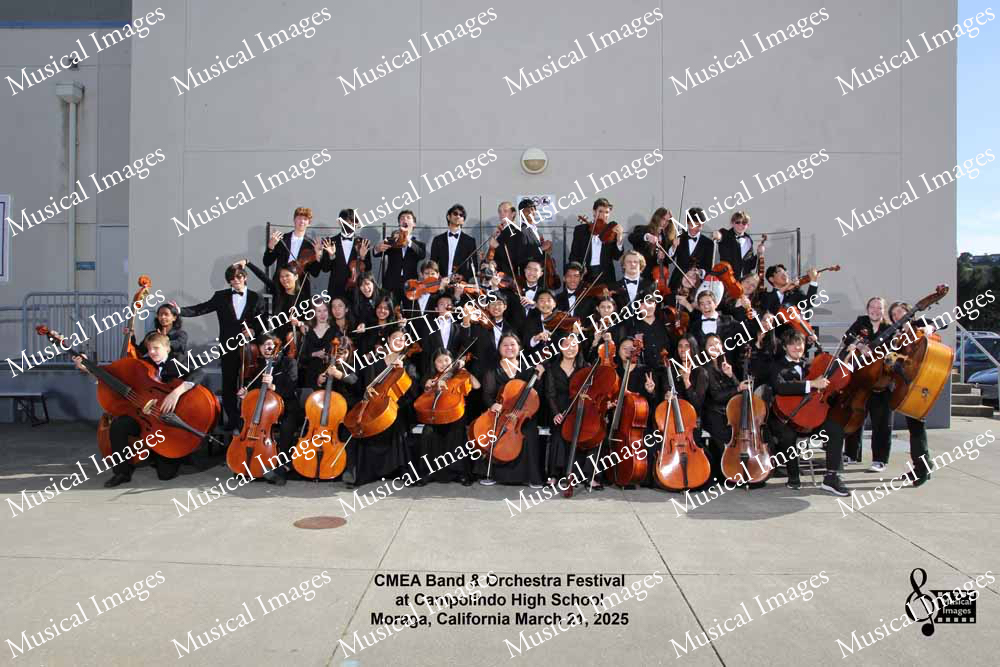 Musical Images